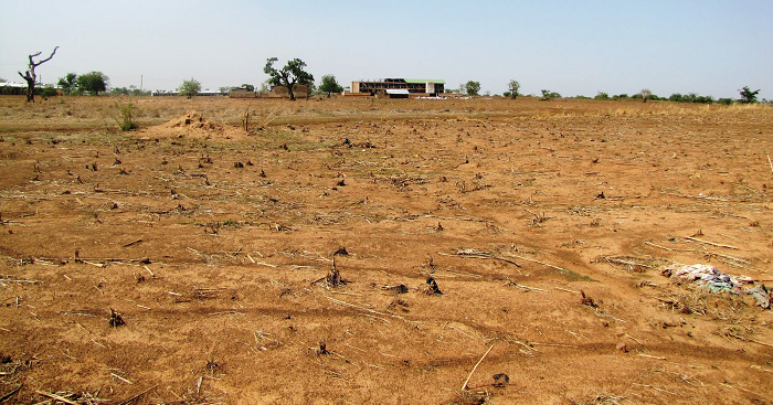 Degraded land in Upper East Region to be restored